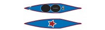 C2 star